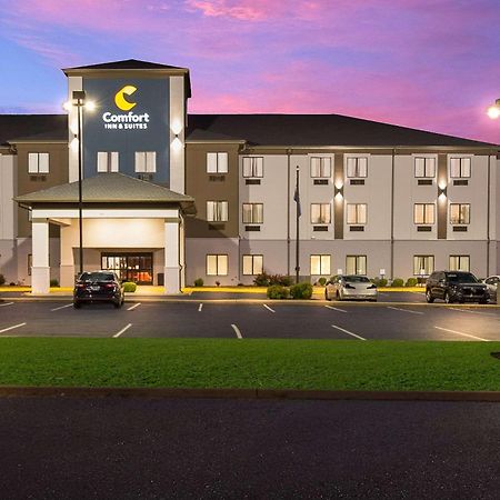 Comfort Inn & Suites Cave City Esterno foto