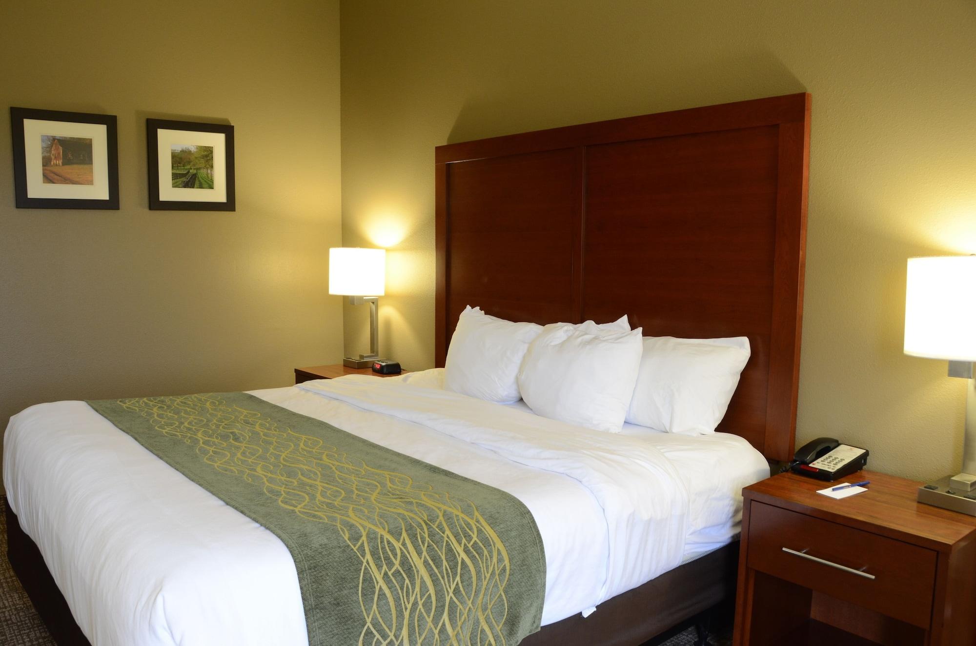 Comfort Inn & Suites Cave City Esterno foto